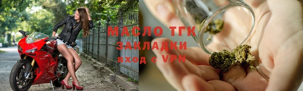 индика Козельск