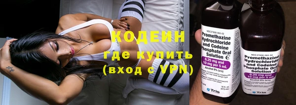 крисы Кодинск