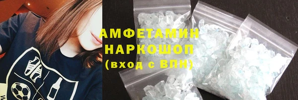 индика Козельск