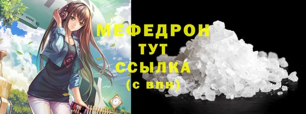 индика Козельск