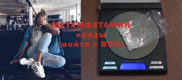 индика Козельск