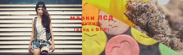 индика Козельск