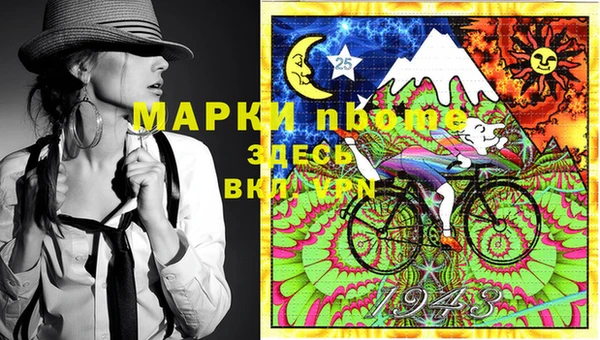 крисы Кодинск