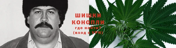 индика Козельск