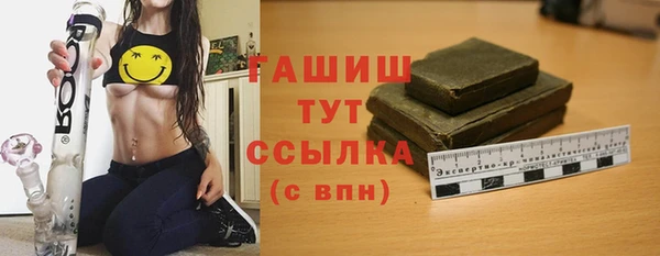 индика Козельск