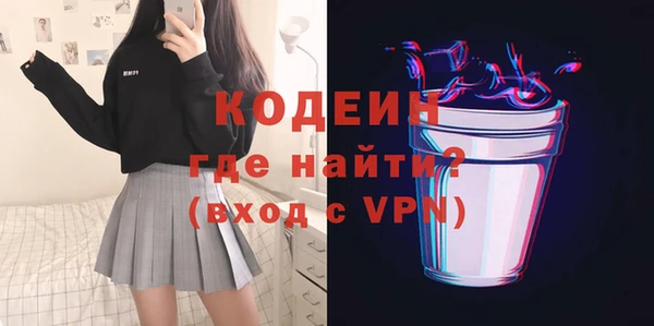 индика Козельск