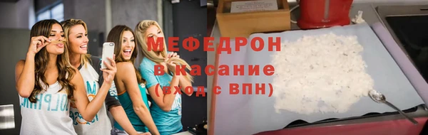 индика Козельск