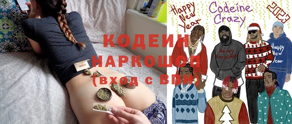 индика Козельск