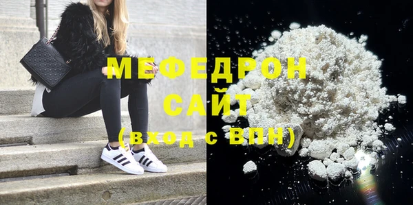 индика Козельск