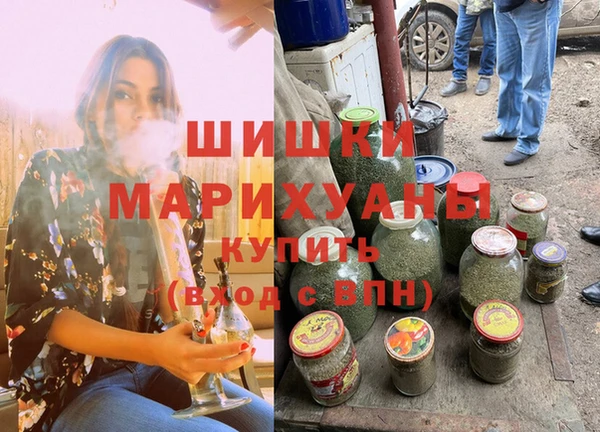 мдпв Щигры