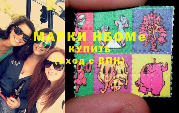 индика Козельск