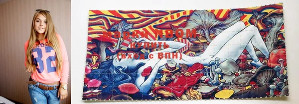 крисы Кодинск