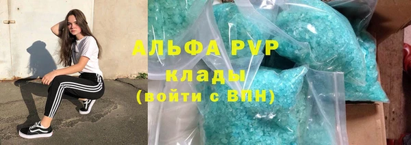 крисы Кодинск