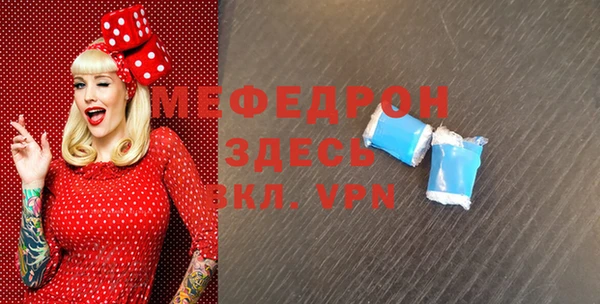 индика Козельск